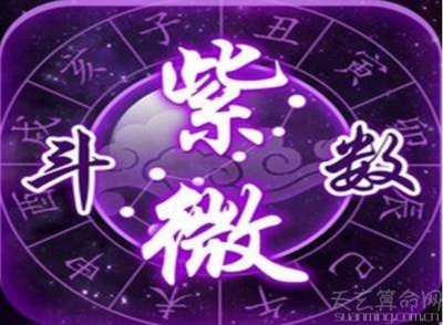 紫微斗数怎么看  紫微斗数十二宫解析