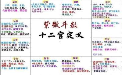 紫微斗数怎么看  紫微斗数十二宫解析