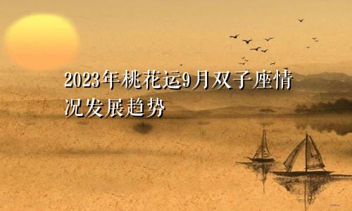 双子座2023年桃花运9月情况 发展趋势