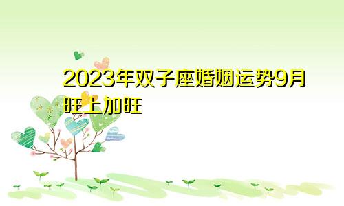 双子座2023年婚姻运9月情况 旺上加旺