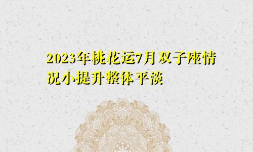 双子座2023年桃花运7月情况 小提升总体平淡