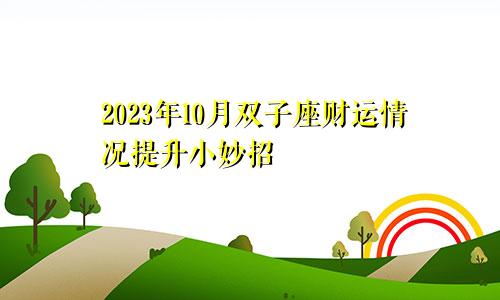 双子座2023年财运10月情况 提升小妙招