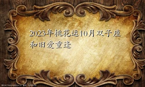 双子座2023年桃花运10月情况 和旧爱重逢