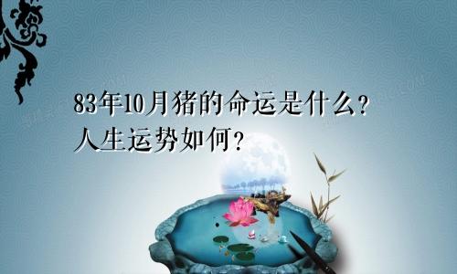 83年10月猪是什么命 一生运势怎么样