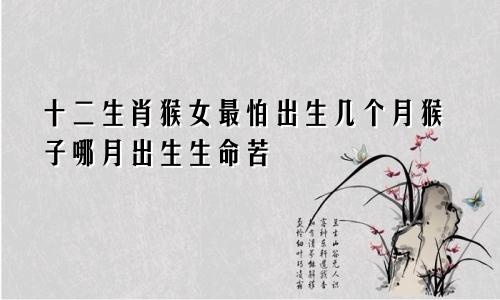 生肖猴女最怕出生几月 猴哪月出生命苦