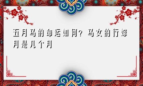 五月马的命运怎么样 马女的行嫁月是几月
