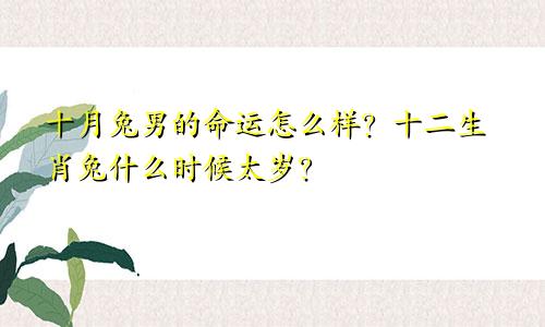 十月兔男的命运怎么样 生肖兔太岁年在何时