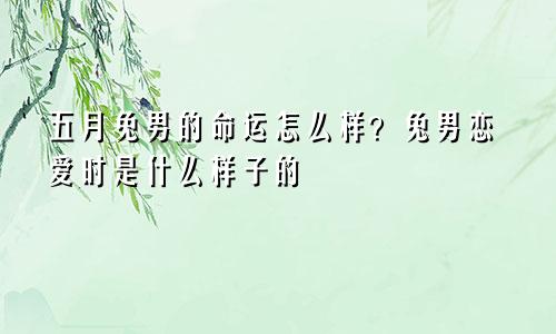 五月兔男的命运怎么样 兔男恋爱时什么样
