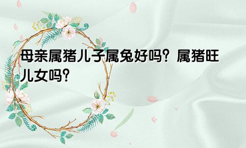 母亲属猪儿子属兔好吗 属猪旺儿女吗