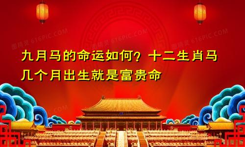 九月马命运如何 生肖马几月出生是富贵命