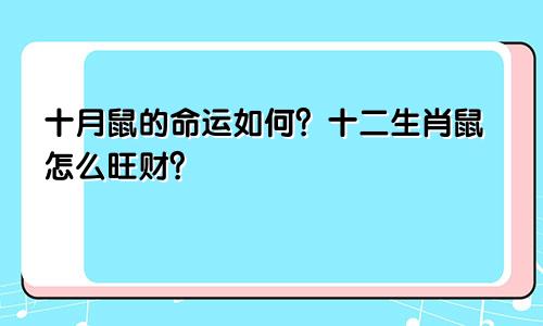 十月鼠的命运如何 生肖鼠如何旺财
