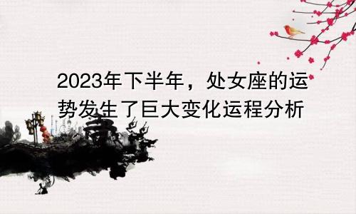 处女座2023年下半年运势大变最新 运程分析