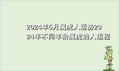 属虎人2024年5月运势 不同年龄的属虎的人2024年运程