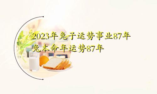 87年兔2023年运势事业 87年兔本命年运势