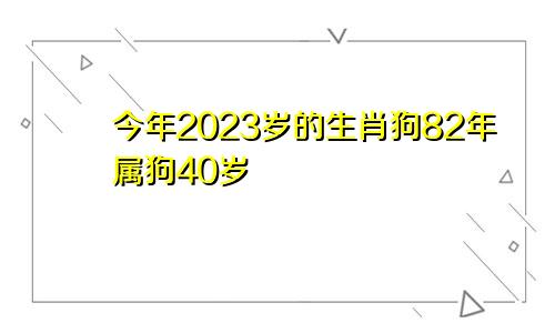 生肖狗今年几岁2023 82年属狗40岁
