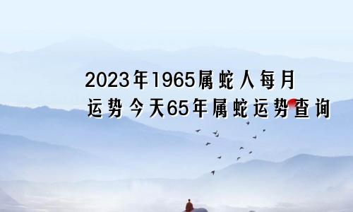 1965属蛇人2023年每月运势,65年属蛇今日运势查询