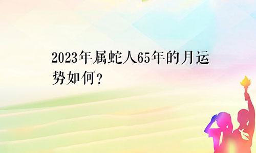 65年属蛇人2023年每月运势如何