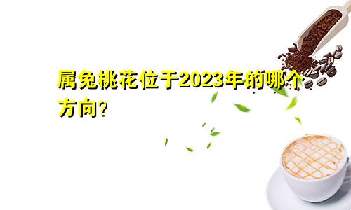 2023年属兔的桃花位在哪个方向