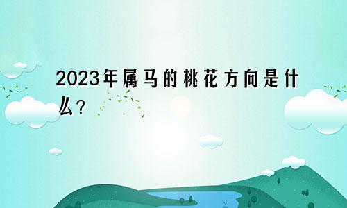 属马2023年桃花方位是什么