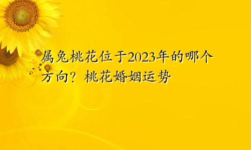 2023年属兔的桃花位在哪个方向，桃花婚姻运势