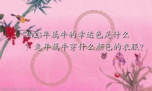 2023年属牛的幸运色是什么颜色，属牛在兔年穿什么颜色的衣服好