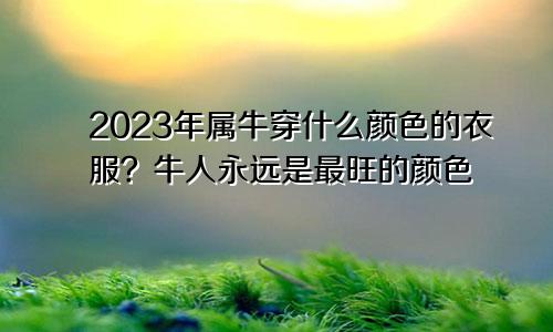 属牛的2023年穿什么颜色的衣服好,属牛人永远最旺的颜色