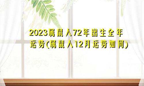 2023属鼠人72年出生全年运势(属鼠人12月份运势如何)