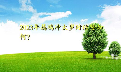 2023年属鸡冲太岁时运势怎么样呢