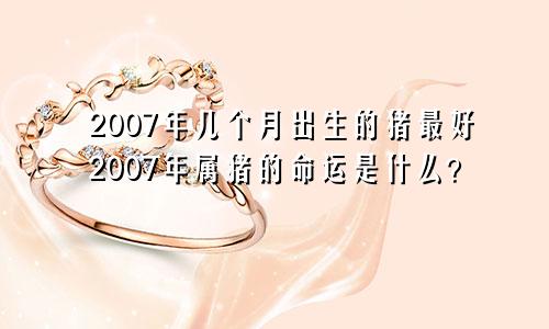2007年属猪的几月出生最好 2007年属猪是什么命