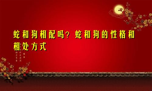 属蛇的和属狗的相配吗？属蛇和属狗的性格与相处之道
