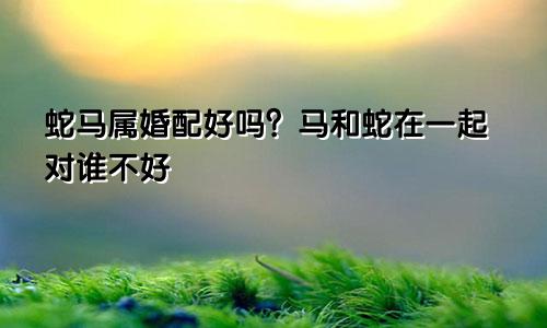 蛇马属相婚配好不好？ 马和蛇在一起对谁不利