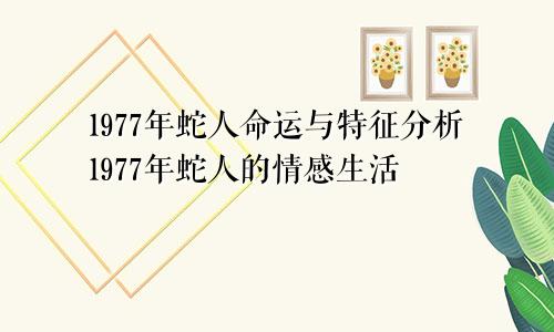 1977年属蛇人命运与特征解析 1977年属蛇人的感情生活