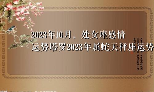 处女座2023年10月感情运势塔罗,属蛇天秤座2023年运势