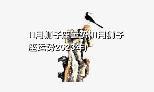 狮子座11月份运势(狮子座运势11月运势2023)