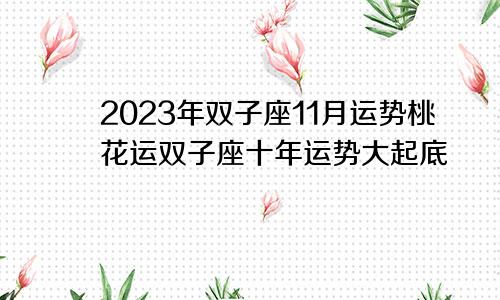 双子座11月运势2023年桃花运,双子座十年运势大起底