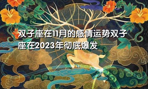 双子11月感情运势,2023年双子座彻底大爆发