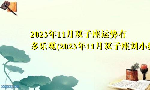 2023年11月双子座运势有多乐观（2023年11月双子座刘小猫的运势读懂）