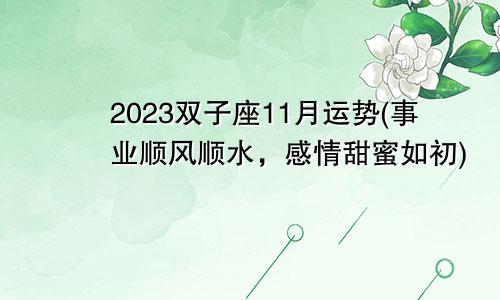 2023双子座11月运势(事业顺风顺水感情甜蜜如初)