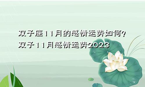 11月双子座感情运势怎么样,双子11月感情运势2023