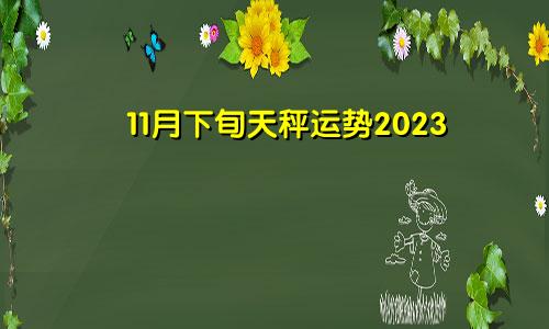 天秤座11月下旬运势2023