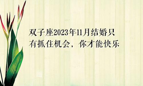 双子座2023年婚姻运11月情况 把握好机会才会幸福