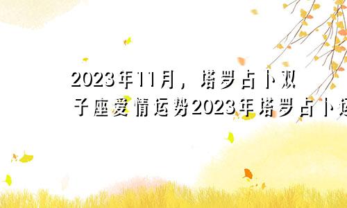 塔罗占卜双子座2023年11月爱情运势,塔罗占卜2023年运势