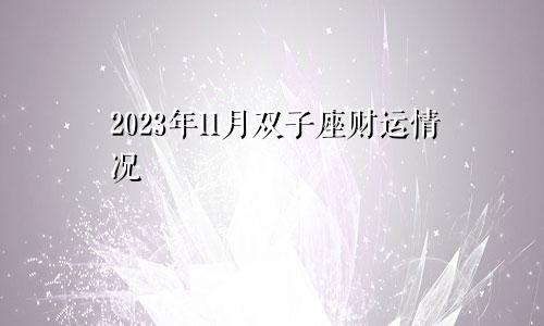 双子座2023年财运11月情况