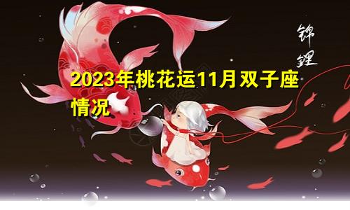 双子座2023年桃花运11月情况