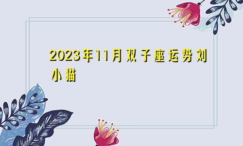 双子座2023年11月运势刘小猫
