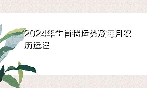 生肖猪2024运势及农历每月运程