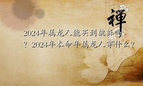2024年属龙人可以买貔貅吗 属龙人2024年本命年戴什么好