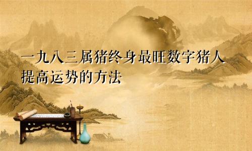 1983属猪终身最旺数字 属猪人提升运势的方法