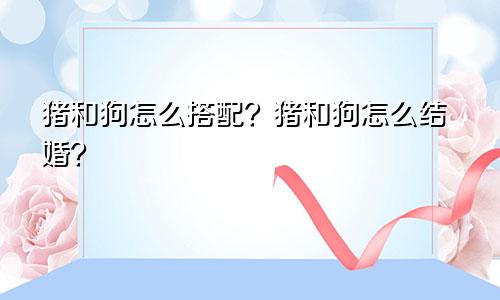 猪和狗相配如何 猪和狗婚配如何