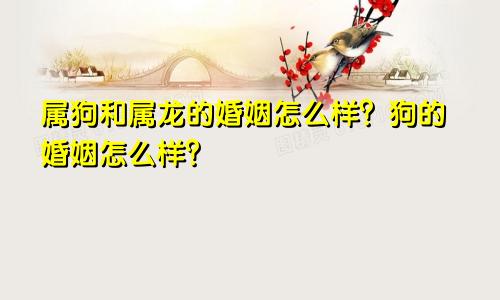 属狗和属龙的姻缘如何 属狗的婚姻如何